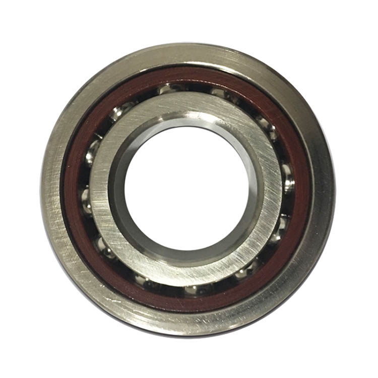 ball screw support bearing agent