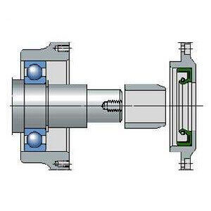 Do you know the two classifications of radial shaft seals with low section height?