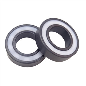 Do you know silicon nitride bearings?