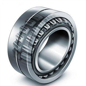 How much do you know about the double cylindrical roller bearing?